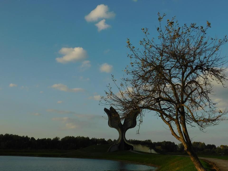 Kod Ribica Bed & Breakfast Jasenovac Exterior photo
