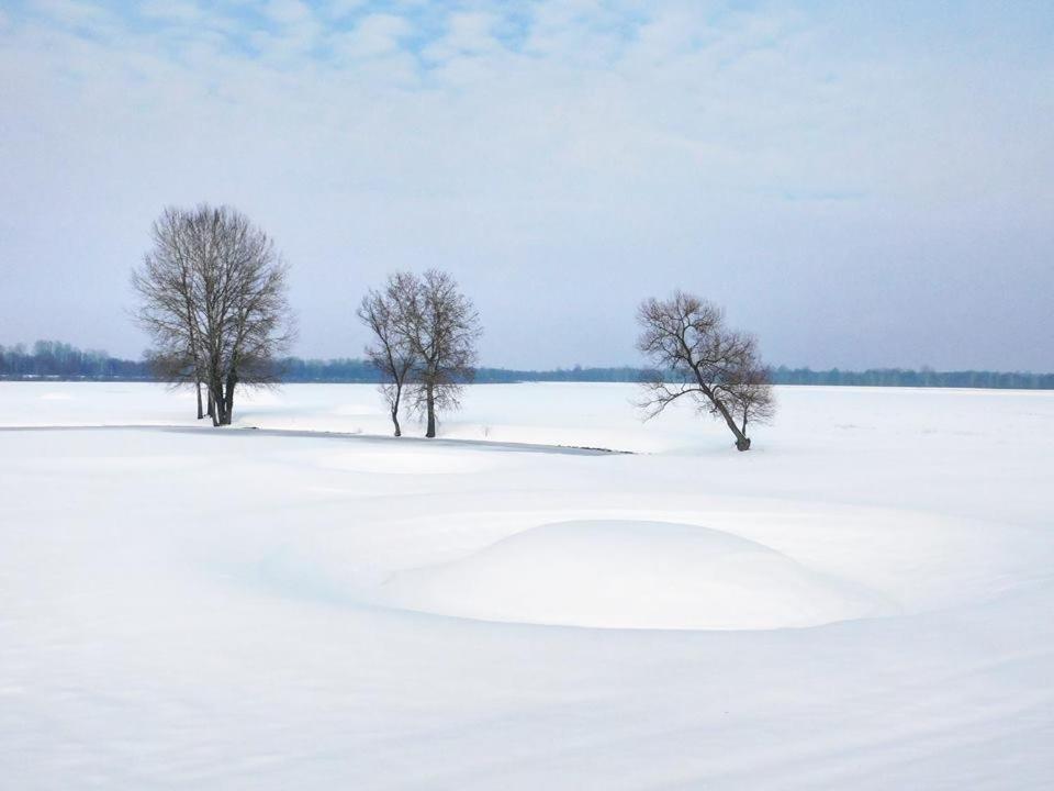 Kod Ribica Bed & Breakfast Jasenovac Exterior photo