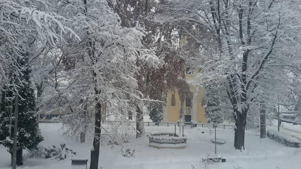 Kod Ribica Bed & Breakfast Jasenovac Exterior photo